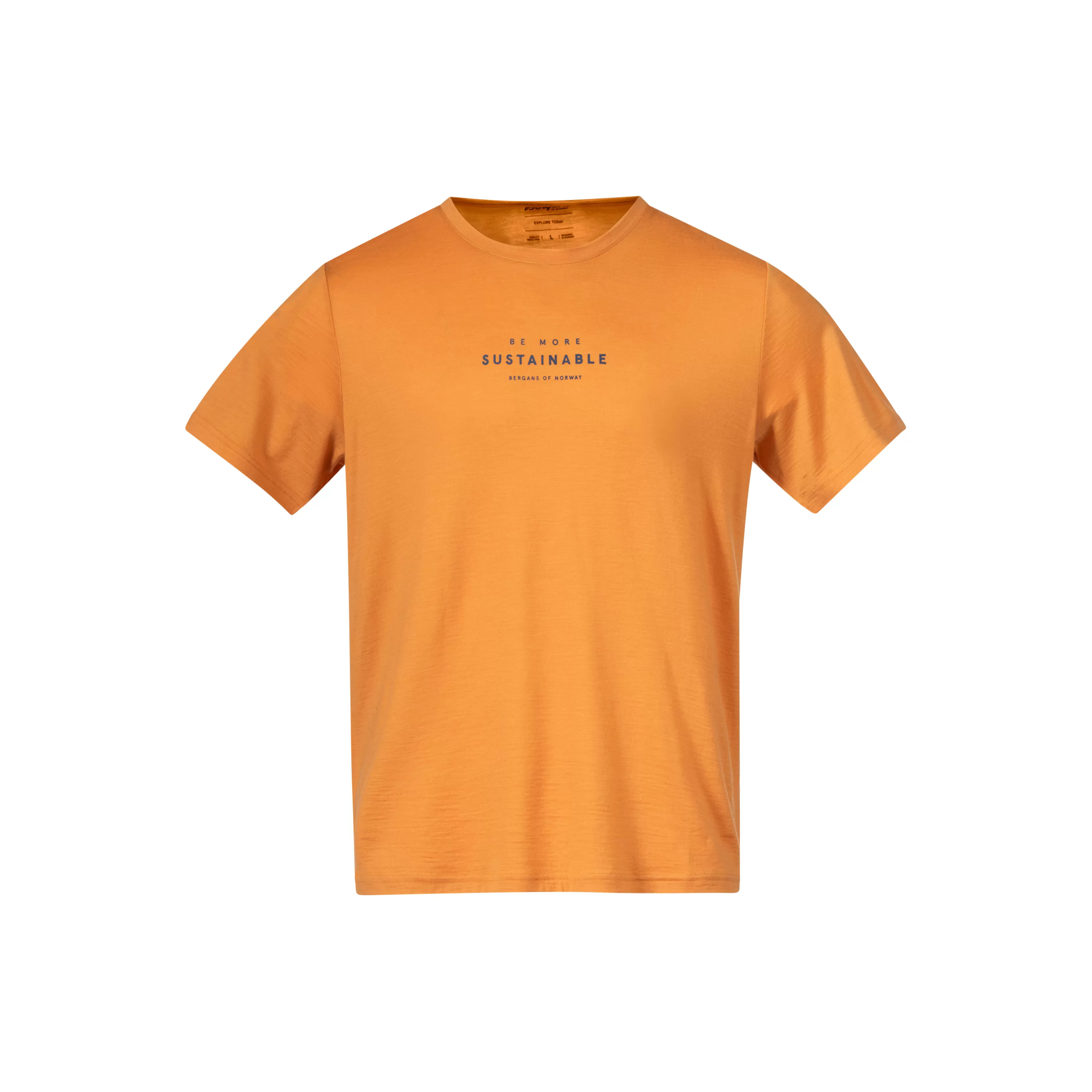 Graphic Wool Tee - | Bergans Shop