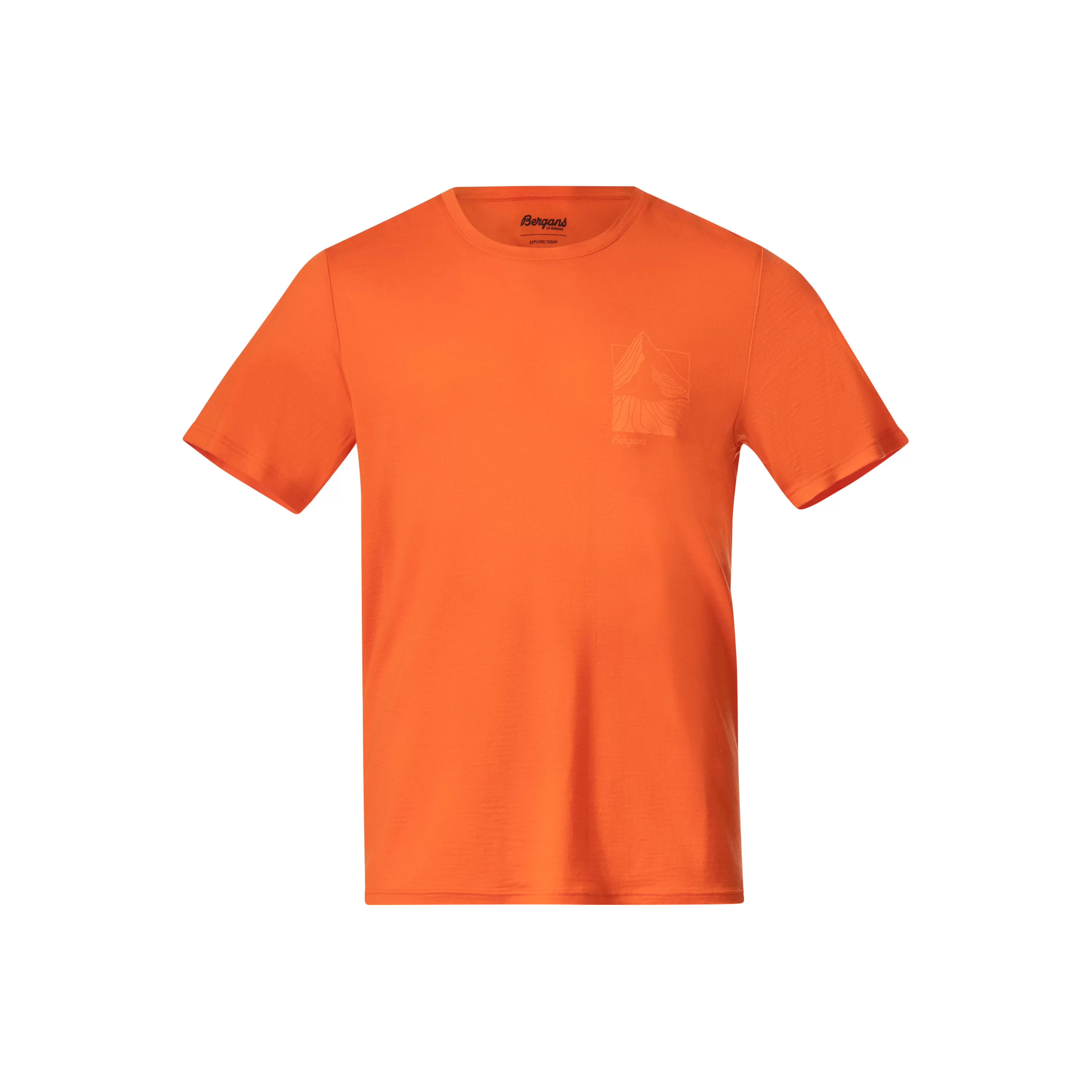 Rabot Mount Wool Tee Men - | Bergans Best Sale